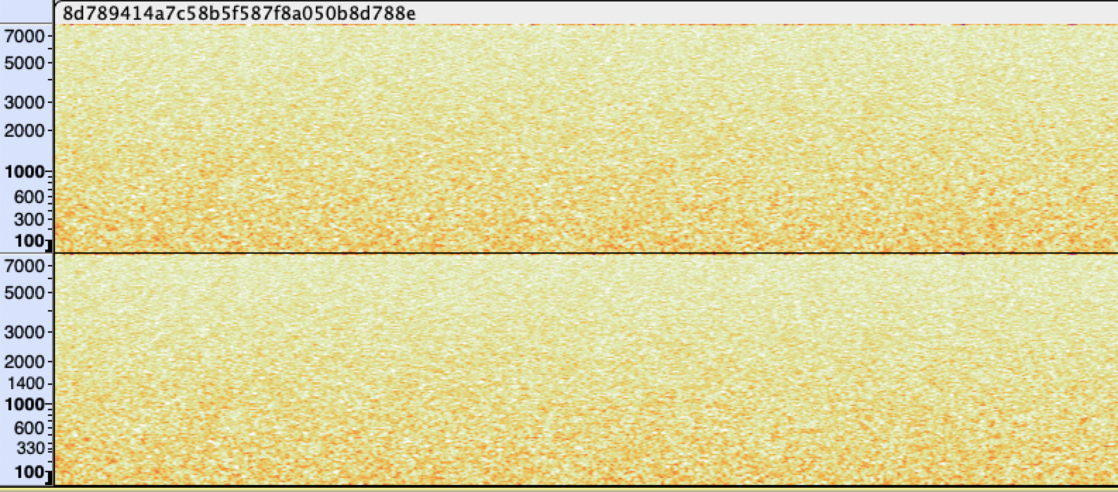Spectrogram of the WAV file